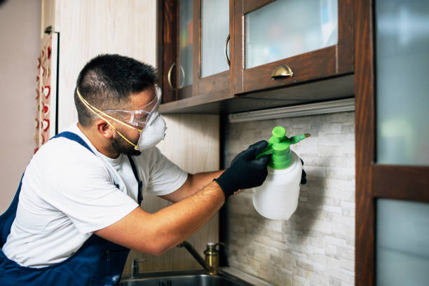 Best Bed Bug Extermination  in Richnd, MO