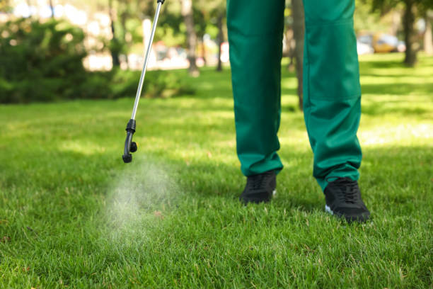Professional Pest Control in Richmond, MO