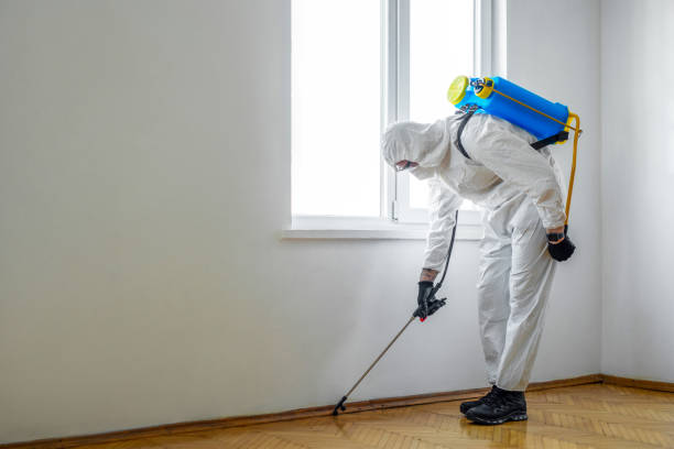 Best Residential Pest Control  in Richnd, MO