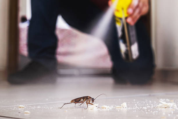 Best Emergency Pest Control  in Richnd, MO