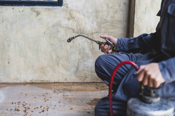 Best Pest Removal Services  in Richnd, MO